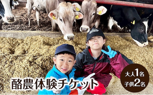 酪農体験チケット 大人1名・子供2名 【 体験チケット 酪農 北海道 幕別町 牛 搾乳 牧場 自然 】