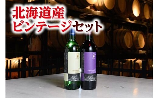 十勝ワイン北海道産ビンテージセット【A001-2-1】within2025