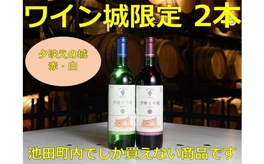 十勝ワインいけだワイン城限定2本セット【A001-3-1】within2025