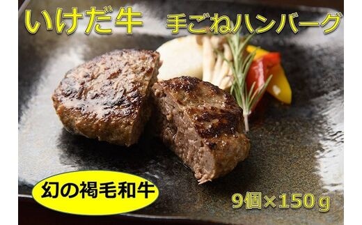 北海道 いけだ牛ハンバーグ12個【A011-3】