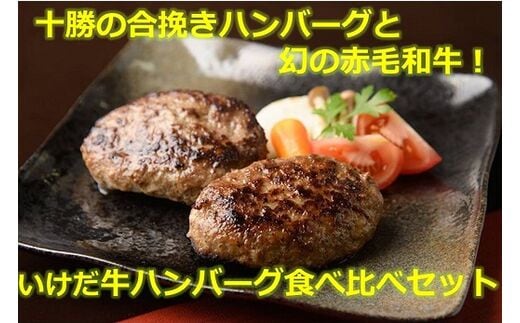 北海道 十勝合挽きハンバーグと”幻”の赤毛和牛いけだ牛ハンバーグ食べ比べ【A041-6-1】