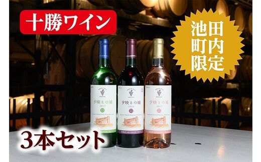 十勝ワインいけだワイン城限定3本セット【B001-1-1】within2025