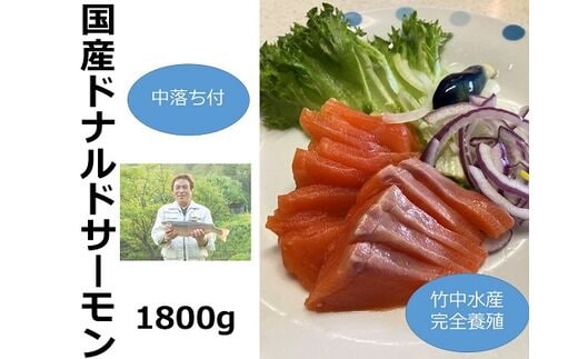 北海道 国産ドナルドサーモン(生食用) 中落ち付1800g【B015-1】within2025