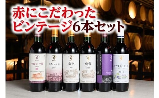 十勝ワイン赤にこだわったビンテージ6本セット【C001-1-2】within2025