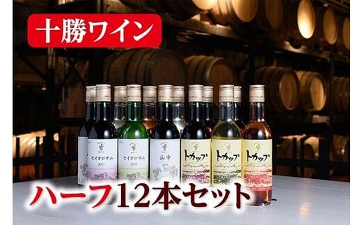 十勝ワインハーフボトル12本セット【C001-3-1】within2025