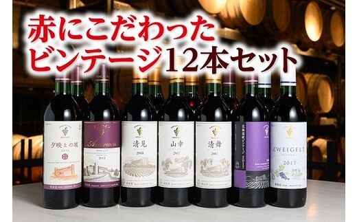 十勝ワイン赤にこだわったビンテージ12本セット【D001-1-3】within2025