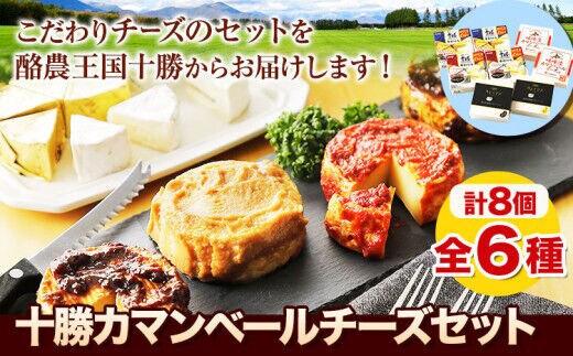 十勝チーズ カマンベールセット 本別町観光協会《60日以内に出荷予定(土日祝除く)》味噌漬カマンベール チーズ 黒豆味噌漬カマンベール キレイマメ 送料無料 北海道 本別町 詰め合わせ 食べ比べ---hsh_chktcam_60d_23_25000_8p---