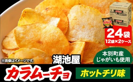 本別産原料使用!コイケヤ カラムーチョチップスホットチリ味 24袋 本別町観光協会 《60日以内に出荷予定(土日祝除く)》北海道 本別町 ポテト ポテトチップス 菓子 スナック スナック菓子 ホットチリ 送料無料---hsh_hkkkc_60d_23_14000_24p---