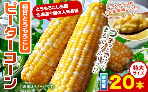 極甘とうもろこし ピーターコーン 20本 特大サイズ(1本380g以上) 高橋賢三【先行予約】《8月上旬-9月中旬頃出荷》 送料無料 北海道 本別町 北海道 十勝 本別町産 極甘 特大 とうもろこし バイカラー フルーティー とうきび トウモロコシ 高糖度 夏野菜 旬---hsh_cctkkk_a89_26_12500_20---