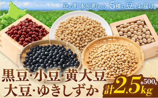 本別 豆 セット 各500g 5種類 2.5kg 特定非営利活動法人 銀河ほんべつ《30日以内に出荷予定(土日祝除く)》大豆 黒豆 小豆 ゆきしずか 黄大豆---hsh__30d_26_11500_2.5kg---