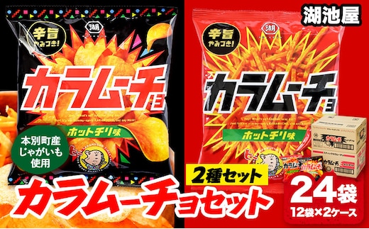 湖池屋 「カラムーチョ」2種セット(各12袋) 本別町観光協会 送料無料《30日以内に出荷予定(土日祝除く)》北海道 本別町 ポテト ポテトチップス 菓子 スナック スナック菓子 食べ比べ---hsh_chk_30d_26_15500_2i---
