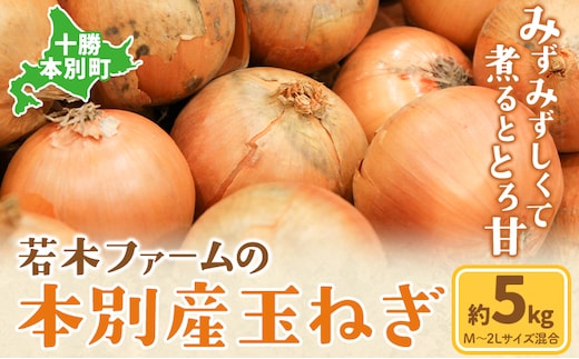 玉ねぎ 玉葱 約5kg サイズ混合《11月上旬から3月下旬頃出荷》若木ファーム 送料無料 北海道 十勝 本別町産 オニオン シチュー ポトフ スープ 炒め物 野菜---26_hbt_wkk_5_5kg---