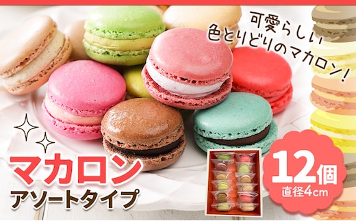 マカロン アソートタイプ 12個入り 欧風ケーキ工房 かねもり 《45日以内に出荷予定(土日祝除く)》 北海道 本別町 送料無料 スイーツ デザート 洋菓子 お菓子 全15種 ランダム---hsh_ckmmra_45d_23_12000_12p---