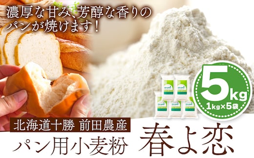 北海道十勝 前田農産パン用小麦粉「春よ恋」5kg(1kg×5袋) 有限会社 十勝太陽ファーム 送料無料《60日以内に出荷予定(土日祝除く)》 北海道 本別町 パン 小麦粉 小麦---hsh_tmpkmhh_60d_23_15500_5kg---