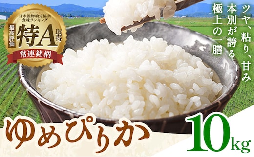 米 令和8年産 ゆめぴりか 10kg 若木ファーム 《11月上旬以降順次出荷》北海道 本別町 米 お米 白米 精米 2026年 予約 北海道産 十勝 本別町産 特A 産地直送---hsh_wakon_ac11_26_27000_10kg--