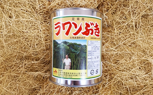 ラワンぶき水煮缶 500g×3缶《足寄町》【NPO法人あしょろ観光協会】ふき