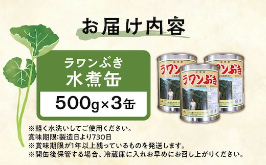 ラワンぶき水煮缶 500g×3缶《足寄町》【NPO法人あしょろ観光協会】ふき