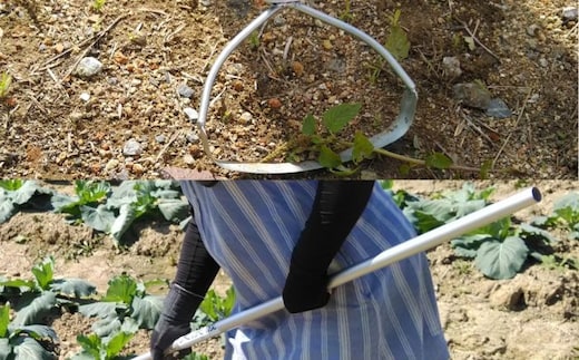 手取り除草機 Qホー（17cm）《足寄町》【株式会社キュウホー】除草具 農具 草取り 草刈り 農業 農作業 のうさぎょう ガーデニング 庭 園芸 掃除 花 草 雑草 [BEBH001]