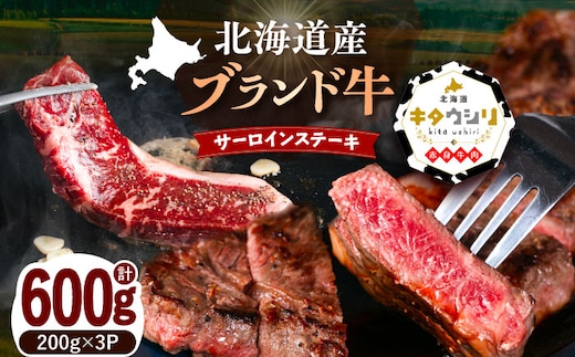 北海道産牛 サーロインステーキ 200g×3パック 《足寄町》 【北海道チクレンミート】 肉 牛肉 牛 北海道産牛 サーロイン ステーキ 北海道産牛肉 ブランド牛 ブランド 栄養豊富 健康 お取り寄せ ギフト 足寄町 北海道産 北海道 [BEBJ001]