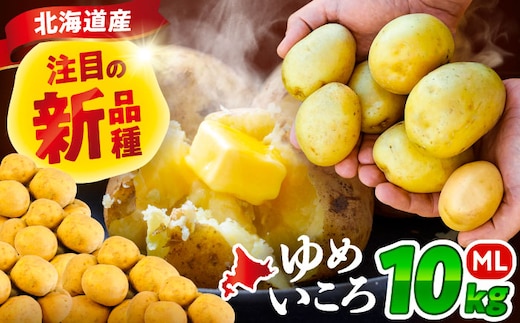 北海道産 じゃがいも ゆめいころ 10kg 《足寄町》【北海道エア・ウォーター・アグリ株式会社】 [BEBO001]