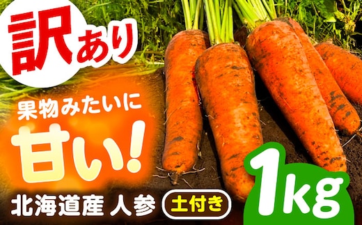 北海道 訳ありにんじん 1kg（土付き）《足寄町》【餌取農場】 北海道産 甘い 訳あり 規格外 傷 キズ 人参 野菜 根菜 ニンジン 1kg 道産 キャロット 糖度高め サラダ ジュース 生鮮野菜 北海道産 あしょろ 足寄 [BEBA003]