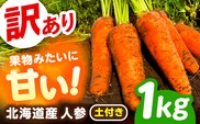 北海道 訳ありにんじん 1kg（土付き）《足寄町》【餌取農場】 北海道産 甘い 訳あり 規格外 傷 キズ 人参 野菜 根菜 ニンジン 1kg 道産 キャロット 糖度高め サラダ ジュース 生鮮野菜 北海道産 あしょろ 足寄 [BEBA003]