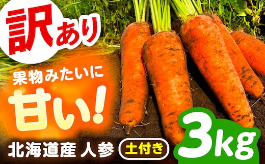 北海道 訳ありにんじん 3kg（土付き）《足寄町》【餌取農場】 北海道産 甘い 訳あり 規格外 傷 キズ 人参 野菜 根菜 ニンジン 3kg 道産 キャロット 糖度高め サラダ ジュース 生鮮野菜 北海道産 あしょろ 足寄 [BEBA004]