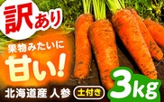 北海道 訳ありにんじん 3kg（土付き）《足寄町》【餌取農場】 北海道産 甘い 訳あり 規格外 傷 キズ 人参 野菜 根菜 ニンジン 3kg 道産 キャロット 糖度高め サラダ ジュース 生鮮野菜　北海道産 あしょろ 足寄 [BEBA004]
