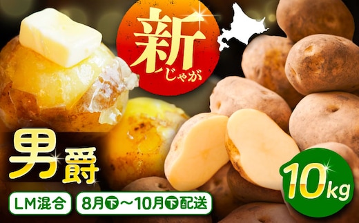 【先行予約】北海道産 じゃがいも 男爵 10kg（LM混合）《足寄町》【党崎農場】ジャガイモ じゃがいも 食べ比べ 国産 野菜 ポテト 芋 イモ いも 男爵 あしょろ 北海道 [BEAA006]