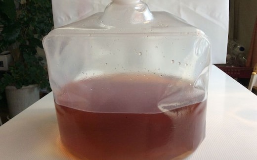 【酵素消臭液】消臭用キング 10L《足寄町》【足寄アグリバイオ株式会社】消臭 動物 ペット 洋服 押入れ カーペット 汗臭 生ごみ ゴミ トイレ あしょろ 北海道[BEAC006]