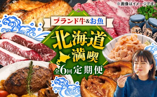 6回定期便 道産ブランド牛＆人気のお魚を満喫！北海道定期便 《足寄町》 [BEBL008]