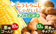 【全2回定期便】とうもろこし（10本）＆じゃがいも（10kg）《足寄町》【党崎農場】トウモロコシ とうもろこし 甘い 野菜 国産 新鮮 ジャガイモ じゃがいも 食べ比べ 芋 いも 定期便 レンチン 北海道産 あしょろ 北海道 [BEAA008]
