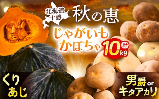 北海道産 じゃがいも＆かぼちゃ 計10kg（じゃがいも6-7kg・かぼちゃ3-4kg）《足寄町》【党崎農場】ジャガイモ じゃがいも 食べ比べ かぼちゃ 野菜 ポテト 芋 イモ いも ハロウィン あしょろ 北海道 [BEAA009]