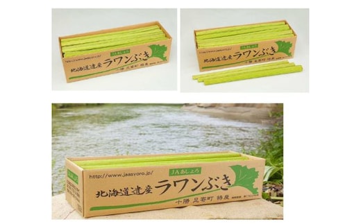 【先行予約】北海道足寄町産 生ラワンぶき 10kg【6月上旬以降発送】《足寄町》【足寄町農業協同組合】ふき フキ ラワンブキ 螺湾ぶき 山菜 採れたて 新鮮 水煮 煮物 おでん ギフト 足寄町産 北海道産 道産 国産 足寄町 北海道 [BEAB013]