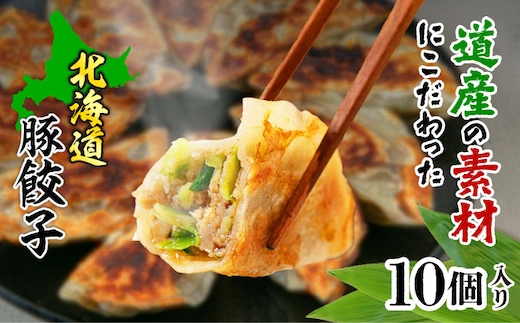 熊笹餃子 雫包(しずづつみ) 10個《足寄町》【株式会社北のささ】中華 ぎょうざ ギョーザ 冷凍餃子 焼餃子 おかず おつまみ 惣菜 天心 お取り寄せ 肉汁 国産 ギフト 冷凍食品 クマザサエキス配合 ささ塩配合 あしょろ 北海道 [BEAR013]
