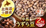 【R7年度産新豆 受付中】北海道 あしょろの中長うずら豆 1kg×2袋《足寄町》【党崎農場】中長鶉 中長うずら豆 うずら豆 インゲン豆  北海道産 [BEAA022]