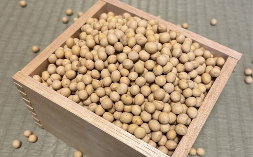 北海道 あしょろの大豆 1kg×2袋《足寄町》【党崎農場】大豆 だいず ダイズ 豆 まめ マメ 和食 煮豆 スープ 煮物 健康 足寄町産 北海道産 道産 寒冷地 足寄町 北海道 節分