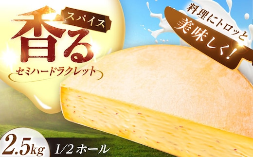 ＼TVで話題／北海道 スパイスラクレット 1/2ホール（2.5kg）《足寄町》【しあわせチーズ工房】チーズ ラクレット ラクレットチーズ 生乳 ミルク 乳製品 チーズフォンデュ 北海道産 道産 あしょろ 北海道 [BEAK033]