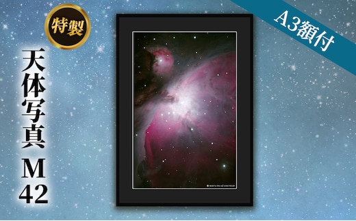 特製 天体写真(A3額付)M42 インテリア 雑貨 日用品 