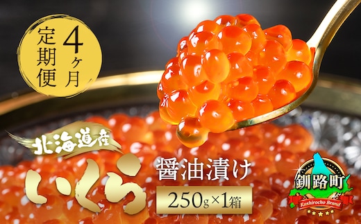 【定期便 4ヶ月連続】北海道産 いくら醤油漬け 250g ×1箱 小分け | 国産 いくら いくら醤油漬 しょう油 しょうゆ イクラ ikura 小分け 天然 鮭 鮭卵 鮭いくら 魚卵 冷凍 定期便 魚介類 海鮮 絶品 人気 一人暮らし おかず 笹谷商店 直営 釧之助本店 高級 ギフト 贈答用 贈答品 北海道 釧路町 釧路超 特産品