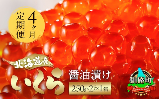 【定期便 4ヶ月連続】北海道産 いくら醤油漬け 500g（250g ×2パック×1箱） 小分け | 国産 いくら いくら醤油漬 しょう油 しょうゆ イクラ ikura 小分け 天然 鮭 鮭卵 鮭いくら 魚卵 冷凍 定期便 魚介類 海鮮 絶品 人気 笹谷商店 直営 釧之助本店 高級 ギフト 贈答用 贈答品 北海道 釧路町 釧路超 特産品