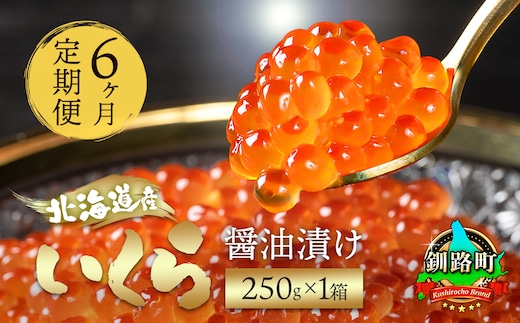 【定期便 6ヶ月連続】北海道産 いくら醤油漬け 250g ×1箱 小分け | 国産 いくら いくら醤油漬 しょう油 しょうゆ イクラ ikura 小分け 天然 鮭 鮭卵 鮭いくら 魚卵 冷凍定期便 魚介類 海鮮 絶品 人気 一人暮らし おかず 笹谷商店 直営 釧之助本店 高級 ギフト 贈答用 贈答品 北海道 釧路町 釧路超 特産品