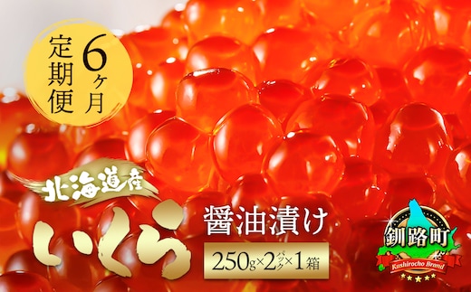 【定期便 6ヶ月連続】北海道産 いくら醤油漬け 500g（250g ×2パック×1箱） 小分け | 国産 いくら いくら醤油漬 しょう油 しょうゆ イクラ ikura 小分け 天然 鮭 鮭卵 鮭いくら 魚卵 冷凍 定期便 魚介類 海鮮 絶品 人気 笹谷商店 直営 釧之助本店 高級 ギフト 贈答用 贈答品 北海道 釧路町 釧路超 特産品