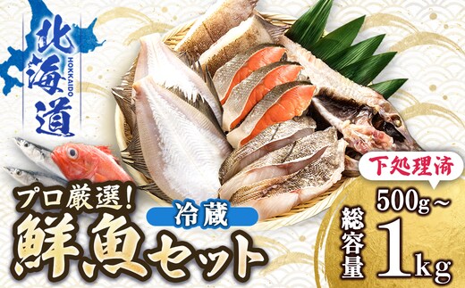 【定期便 3ケ月連続】 お魚の目利きのプロにお任せ！北海道産（国産） 天然 鮮魚 約500g～1kg（釧路の鮮魚セット） 産地直送 冷蔵 冷蔵便 刺身 セット 鮮魚セット 鮮魚ボックス 定期便 魚介類 海鮮 絶品 人気 ヒロセ 北海道 釧路町 釧路超 特産品