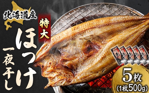 北海道産 ほっけ一夜干し（500～550g）×5枚 ｜ 釧路町の匠が贈る 北の至宝 ホッケ 干物 焼魚 焼き魚 白身魚 セット ひもの 魚干物 一人暮らし セット おかず 冷凍 すぐ届く 魚介類 海鮮 絶品 人気 ヒロセ すぐ発送 北海道 釧路町 釧路超 特産品