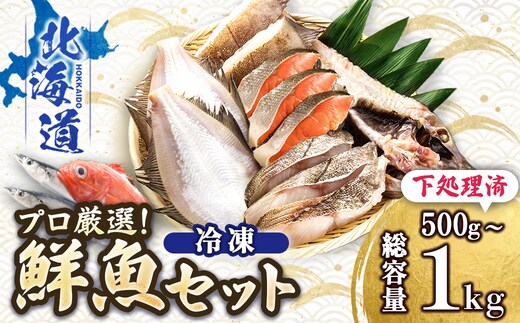 【12/21まで年内お届け】プロ厳選 北海道産 天然 鮮魚セット ＜冷凍＞ 500g～1kg 鮮魚ボックス 詰め合わせ 刺身 下処理 切り身 料理に 人気 ヒロセ 産地直送 魚介 海鮮セ 年内配送 年内発送 北海道 釧路町 釧路超 特産品