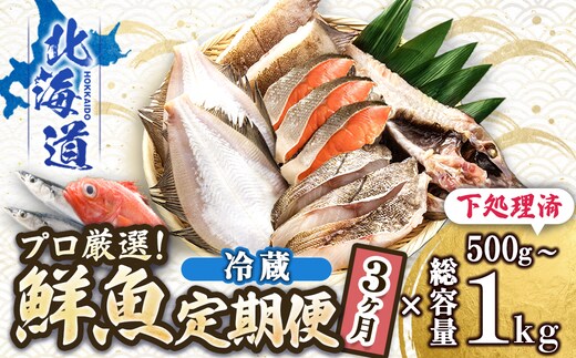 【定期便 3ケ月連続】 お魚の目利きのプロにお任せ！北海道産（国産） 天然 鮮魚 約500g～1kg（釧路の鮮魚セット） 産地直送 冷蔵 冷蔵便 刺身 セット 鮮魚セット 鮮魚ボックス 定期便 魚介類 海鮮 絶品 人気 ヒロセ 北海道 釧路町 釧路超 特産品