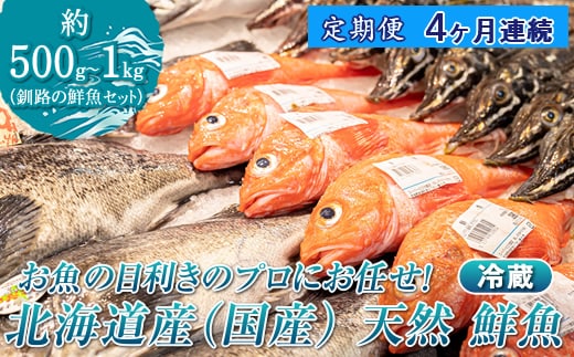 【定期便 4ケ月連続】 お魚の目利きのプロにお任せ！北海道産（国産） 天然 鮮魚 約500g～1kg（釧路の鮮魚セット） 産地直送 冷蔵 冷蔵便 刺身 セット 鮮魚セット 鮮魚ボックス 定期便 魚介類 海鮮 絶品 人気 ヒロセ 北海道 釧路町 釧路超 特産品