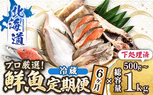 【定期便 6ケ月連続】 お魚の目利きのプロにお任せ！北海道産（国産） 天然 鮮魚 約500g～1kg（釧路の鮮魚セット） 産地直送 冷蔵 冷蔵便 刺身 セット 鮮魚セット 鮮魚ボックス 定期便 魚介類 海鮮 絶品 人気 ヒロセ 北海道 釧路町 釧路超 特産品