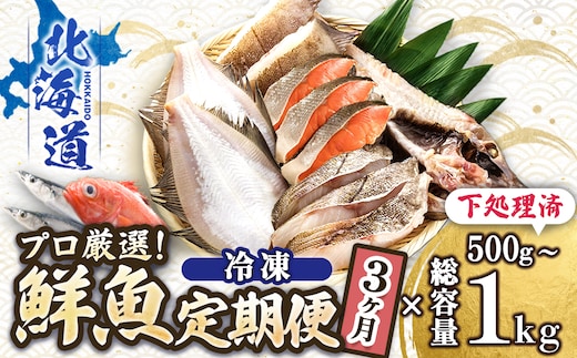 【定期便 3ケ月連続】 お魚の目利きのプロにお任せ！北海道産（国産） 天然 鮮魚 約500g～1kg（釧路の鮮魚セット） 鮮魚 刺身 セット 産地直送 定期便 冷凍 冷凍便 魚介類 海鮮 絶品 人気 ヒロセ 北海道 釧路町 釧路超 特産品